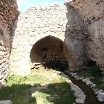 Taurus *
