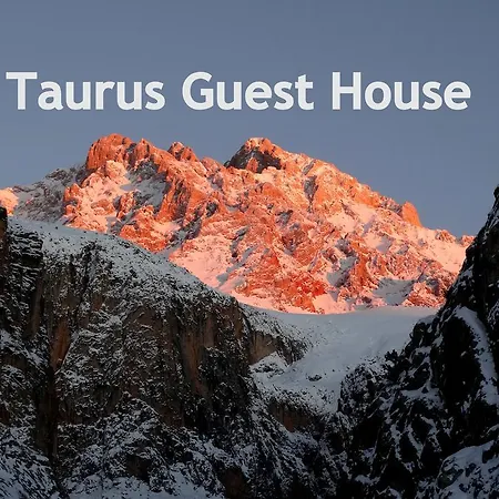 Taurus *