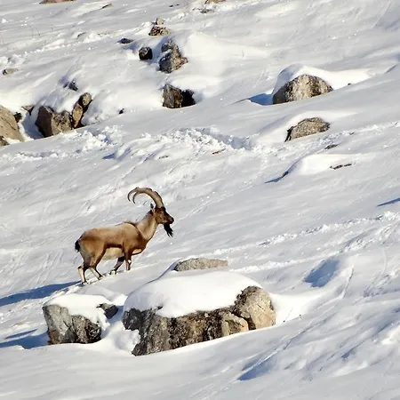 Privat bolig Taurus *