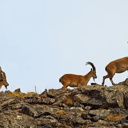 Taurus Privat bolig *