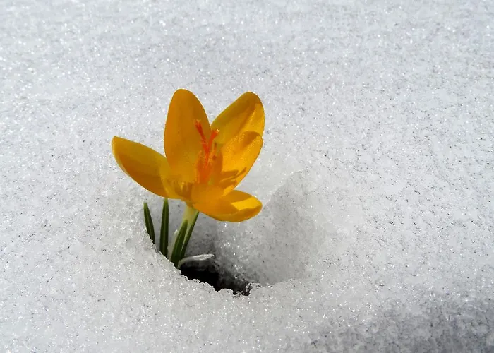 Taurus * Cukurbag (Nigde)