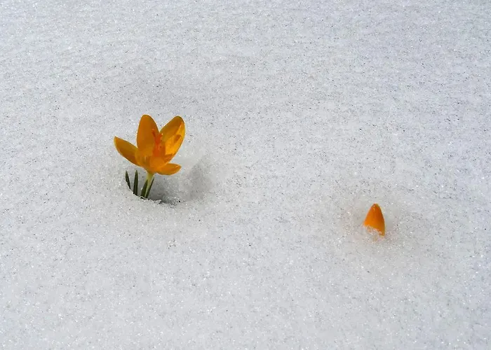 Privatunterkunft Taurus