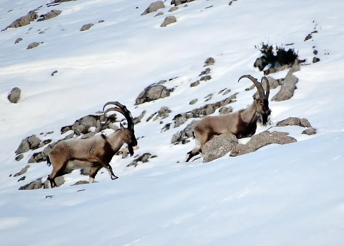 Taurus Privatunterkunft