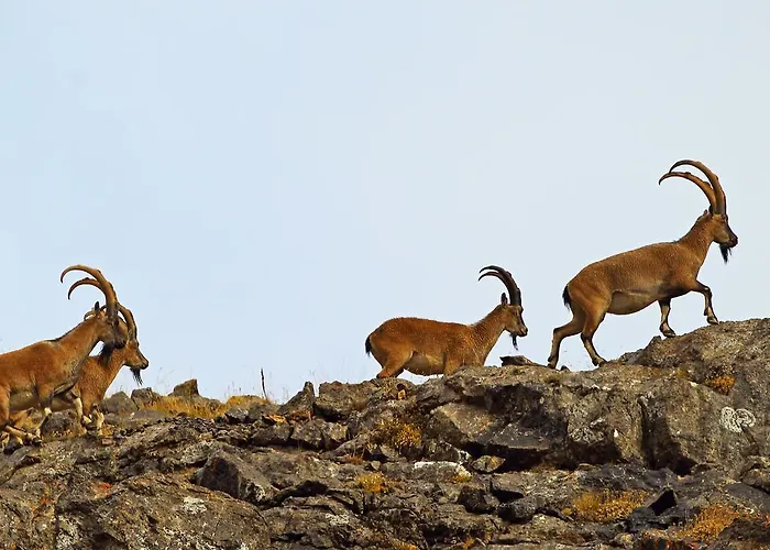 Taurus Privatunterkunft *